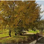Villino - Ihre Entspannung Im Herzen Der Toskana- By Interhome Holiday home *