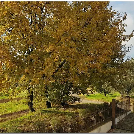Villino - Ihre Entspannung Im Herzen Der Toskana- By Interhome Vakantiehuis *